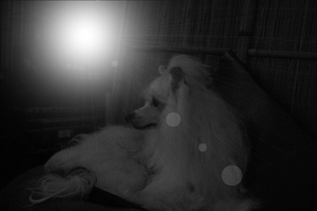 4-Reil's N Vogue Movin To The Music