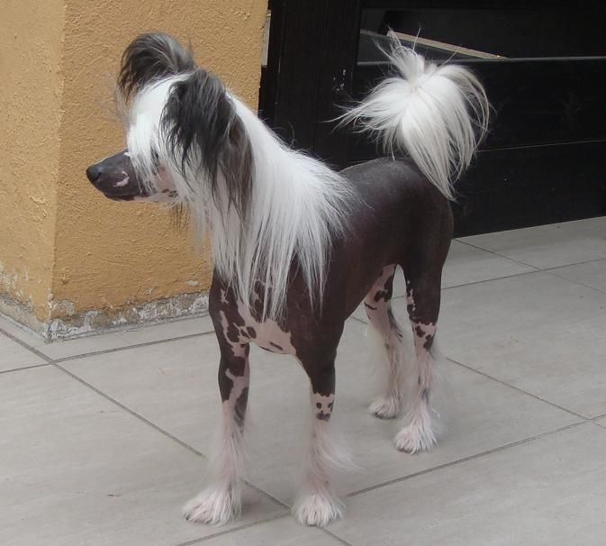 Emilia Romagna Du Coeur Des Tenebres