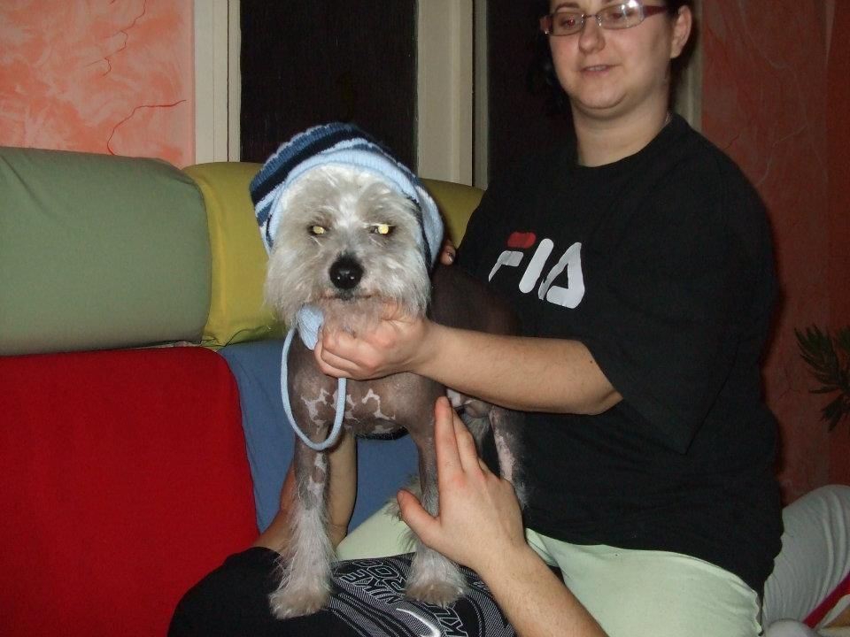 Puha-Luxus Porcelán Barát