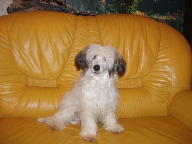 Egorka
