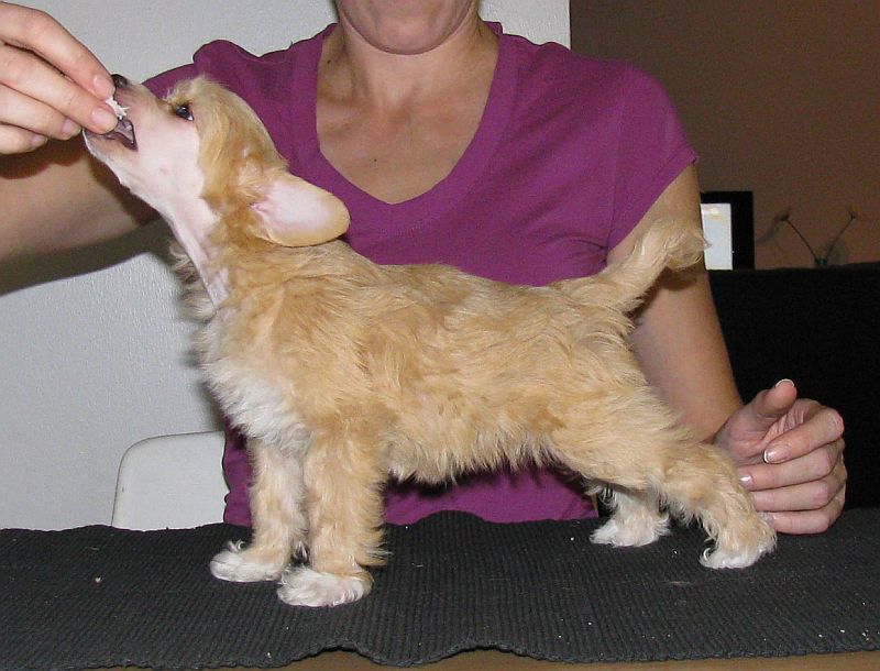 Naked Stars Je T'aime