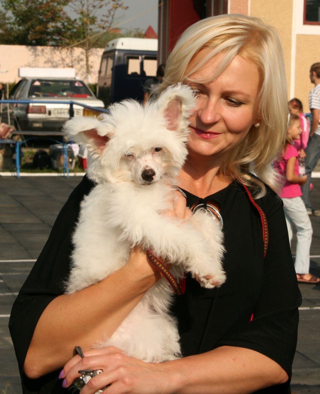 Afrodita Ignited Galactic