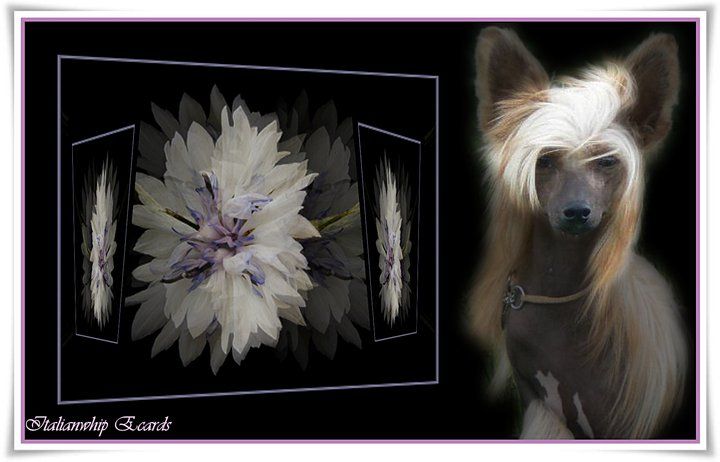 Gorgeous Sampan Cool Lady