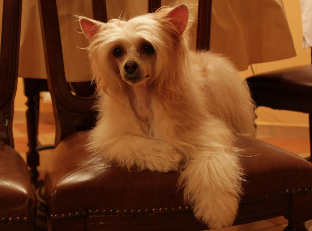 Great Amazon Cool Lady