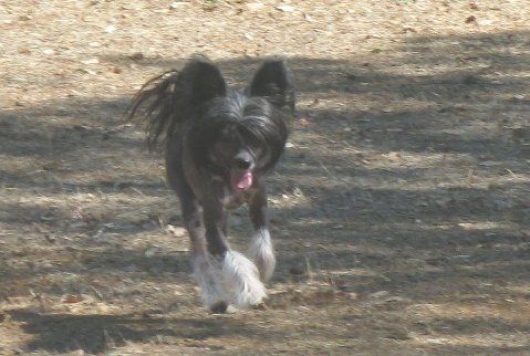 Rapture Causin "Aw" Commotion"