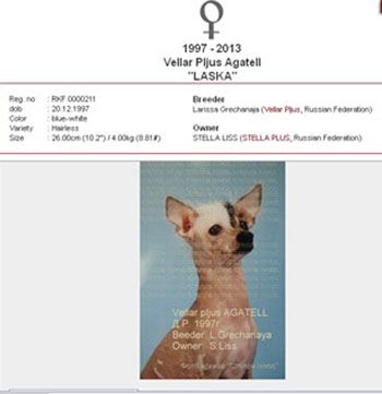 Vellar Pljus Agatell Stella Plyus