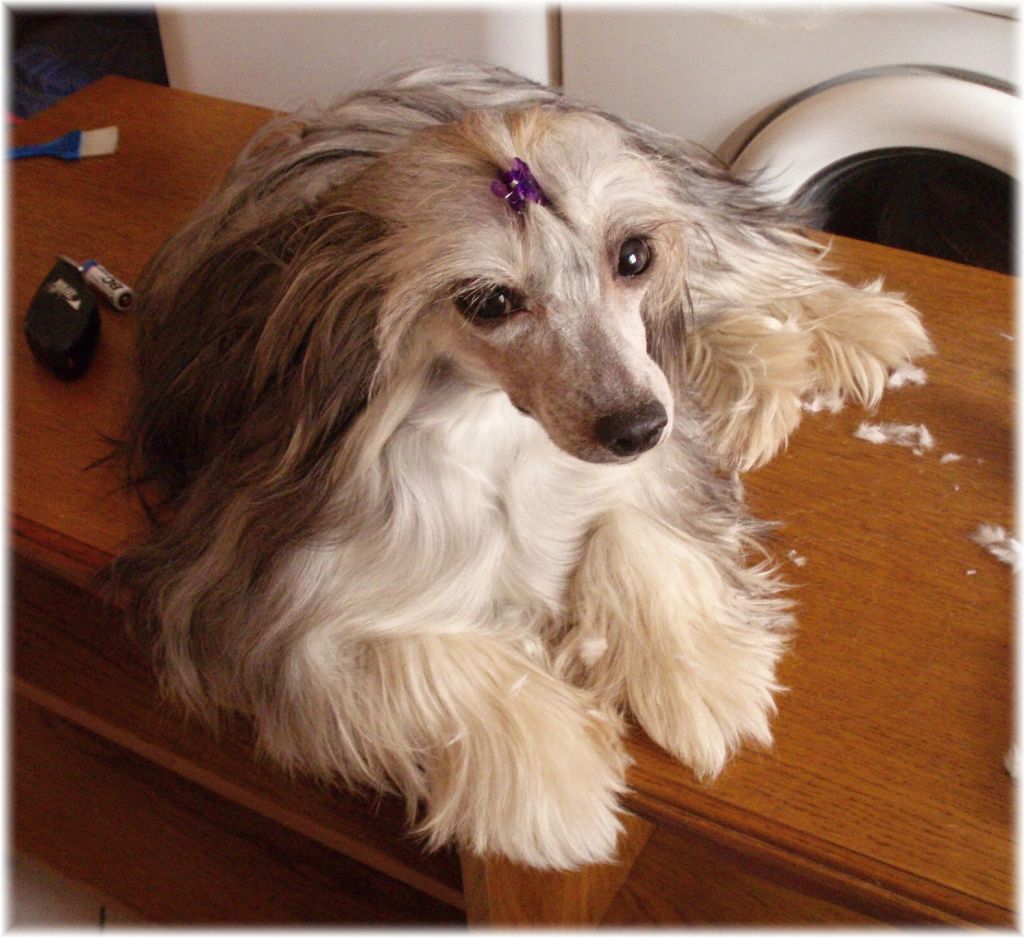 Hermiona od Teareibi