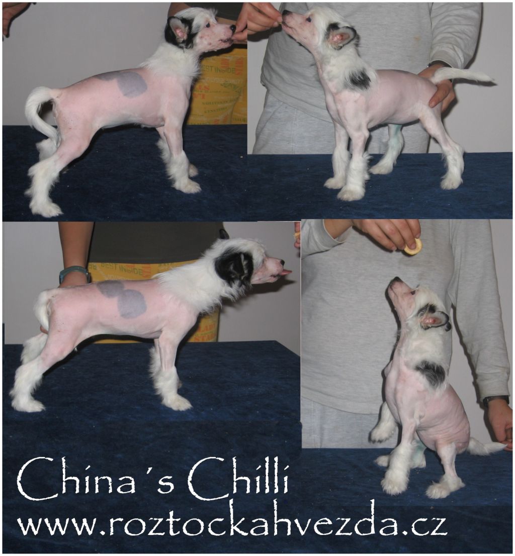 China's Chilli Roztocka Hvezda