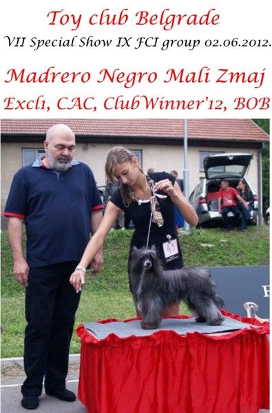 Madrero Negro Mali Zmaj
