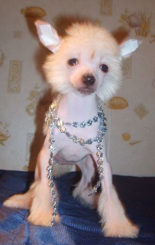 Orero Lovely Iren Maldiva