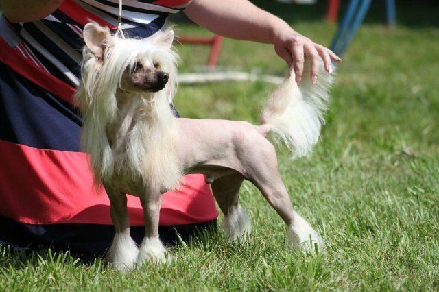 Ryan ze Zatopené chajdy