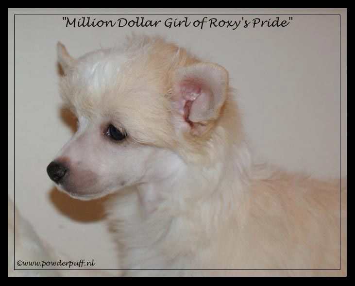 Million Dollar Girl of Roxy's Pride