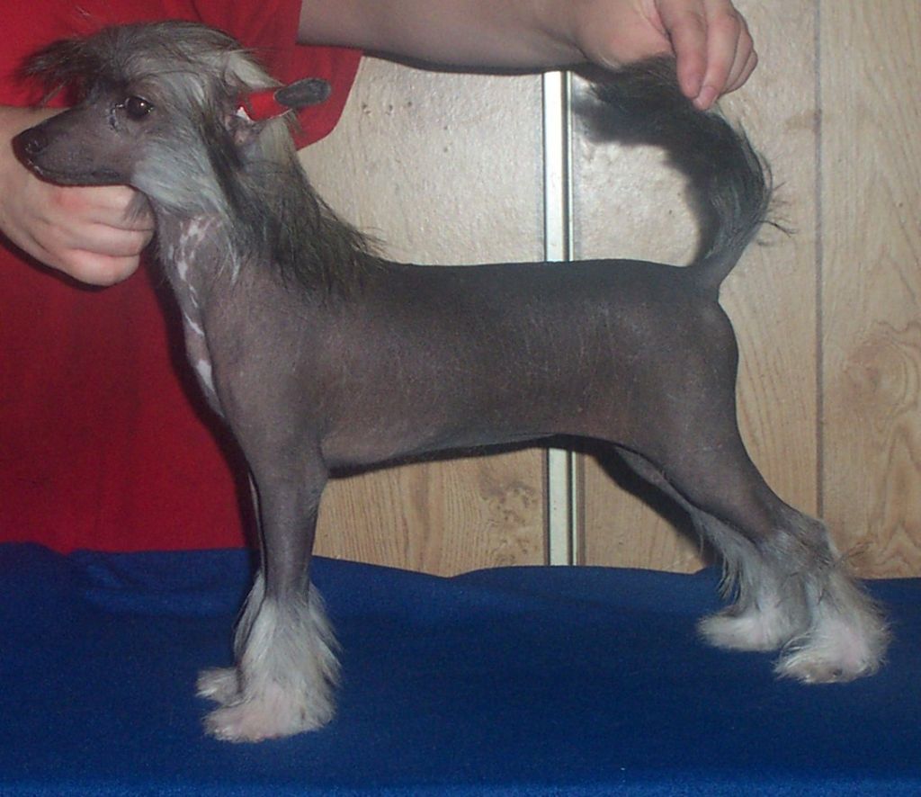 Serenity's Take a Good Look