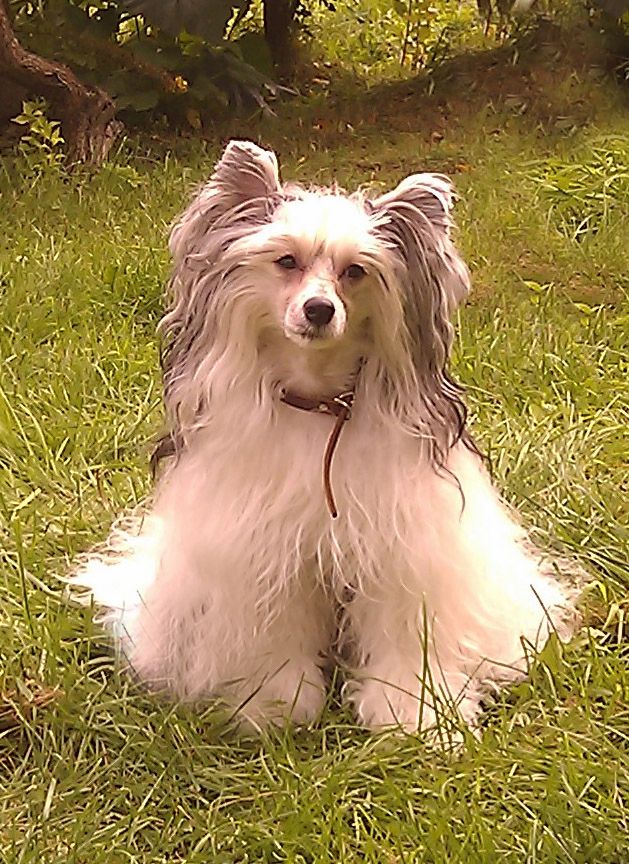 Oxford Black-and-Wait