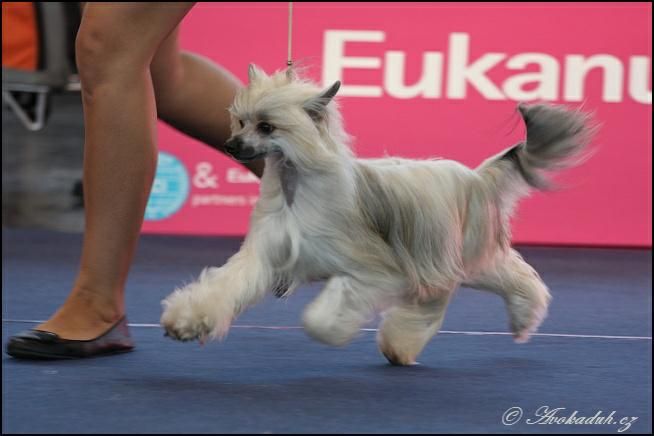 Sheylla ze Zatopené chajdy