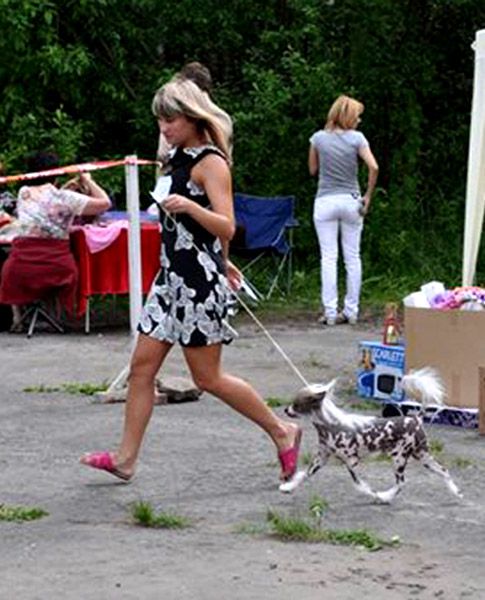 Kristal Yaniry  Insbruk