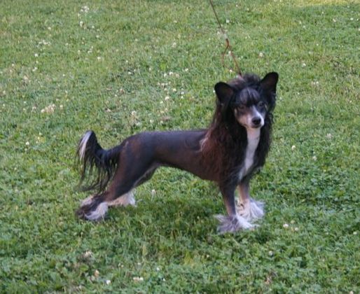 Sun-Hee's Lovely Look