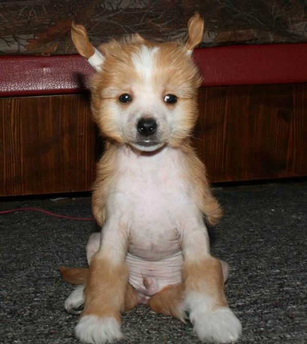 Alfa Laval Drive Time