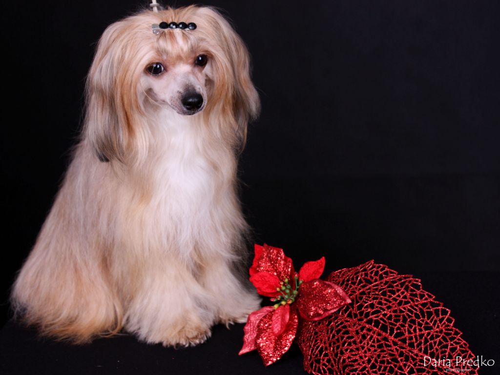 Evelin Delrio Bonus Westtai