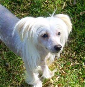 Nani la Perversa de Puerto Princesa