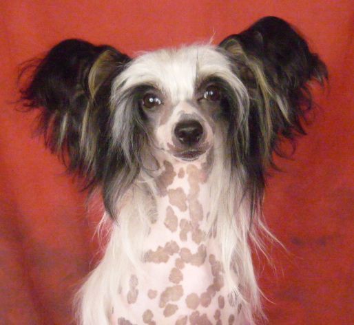 Uslada of My Soul Minodora