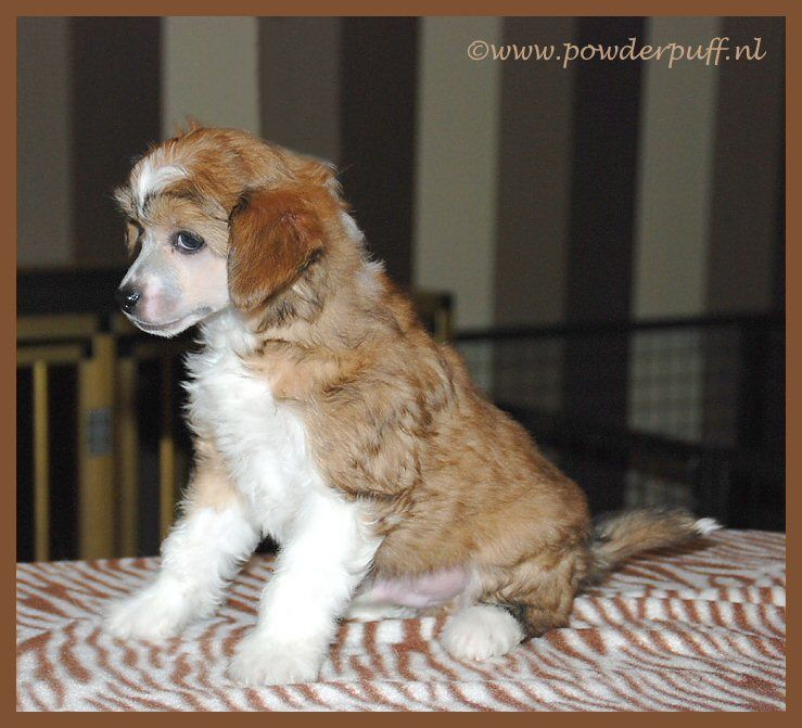 His Name In Lights of Roxy's Pride