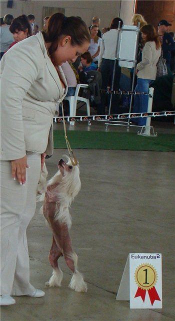 Silver Tauer Cover Girl