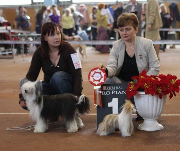 Steiptkoy Spring Francheska