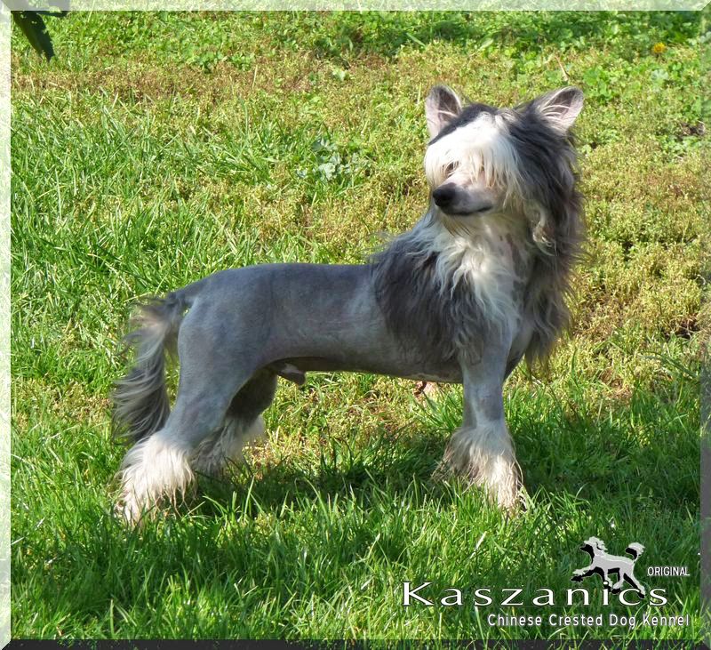 Fundoklia-völgyi Kaszanics Flagstone