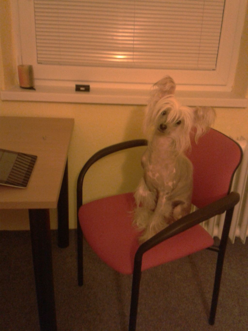 Armani Diamond of the Night