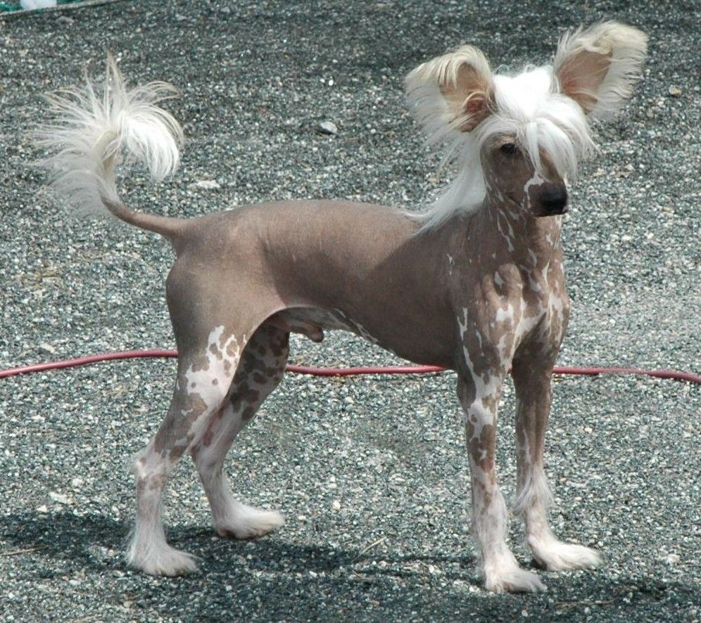 Reject's Twelvth Hour the Third