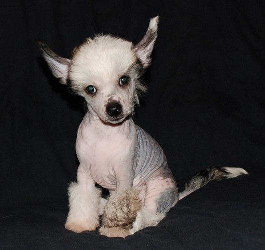 ABBY od Rytínské soutesky 