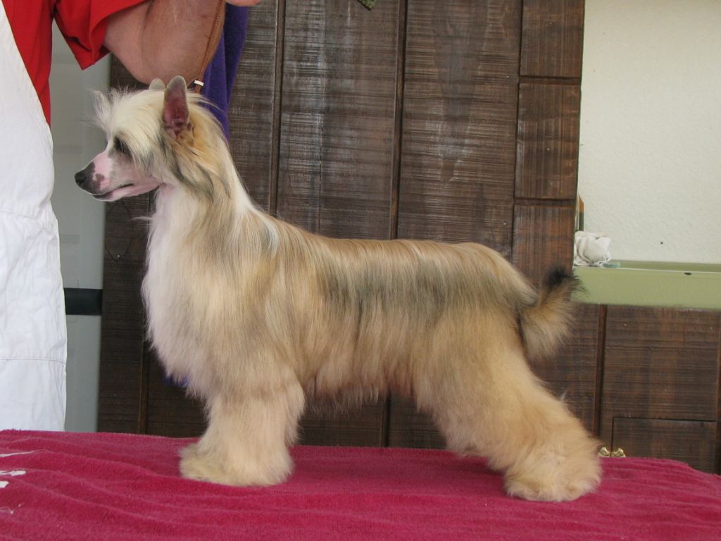 WhisperingLane How DoYa LikeMe Now