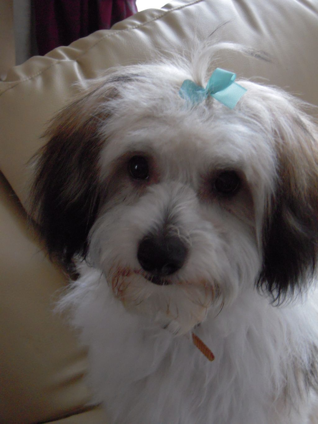 Sonniema A Man Afta Midnite