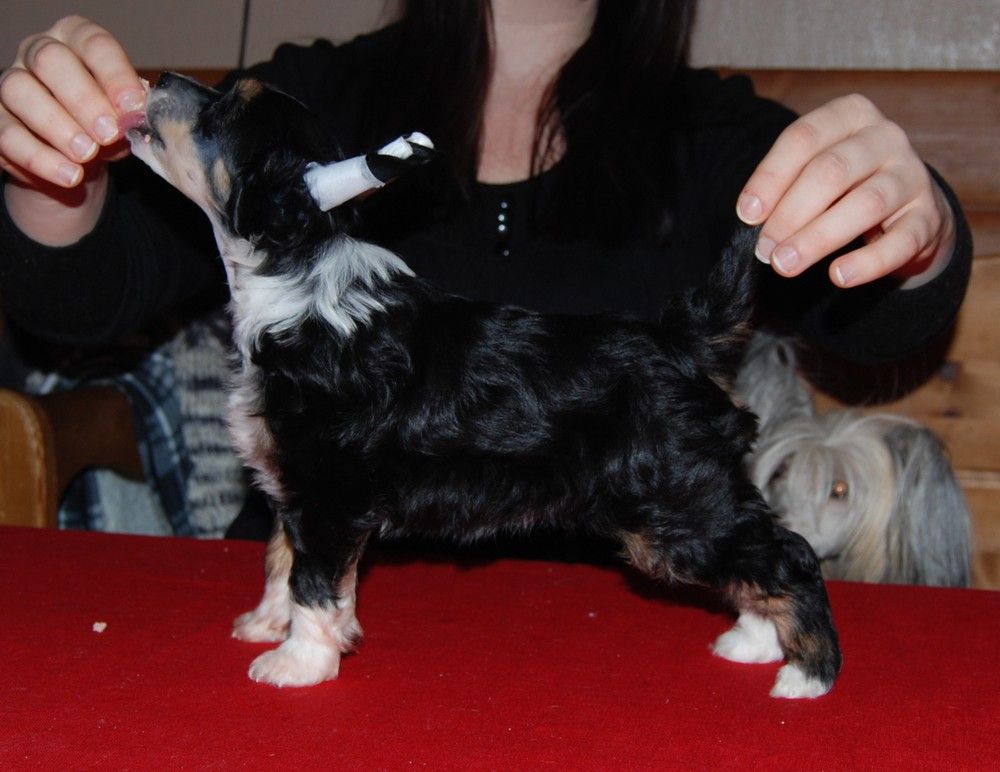 I'skytrouble's Born To Be Delicious