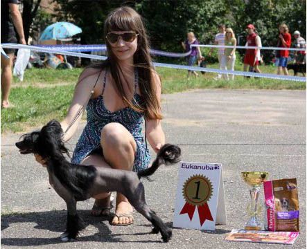 Kado Kitaiski Potcelui Avantura