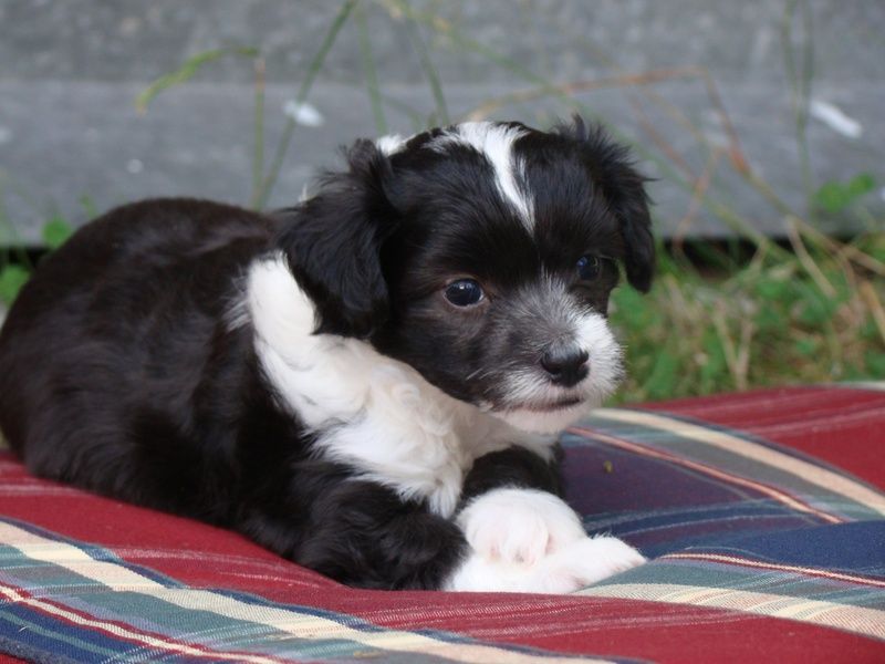 Baby Pearl Hugo Boss