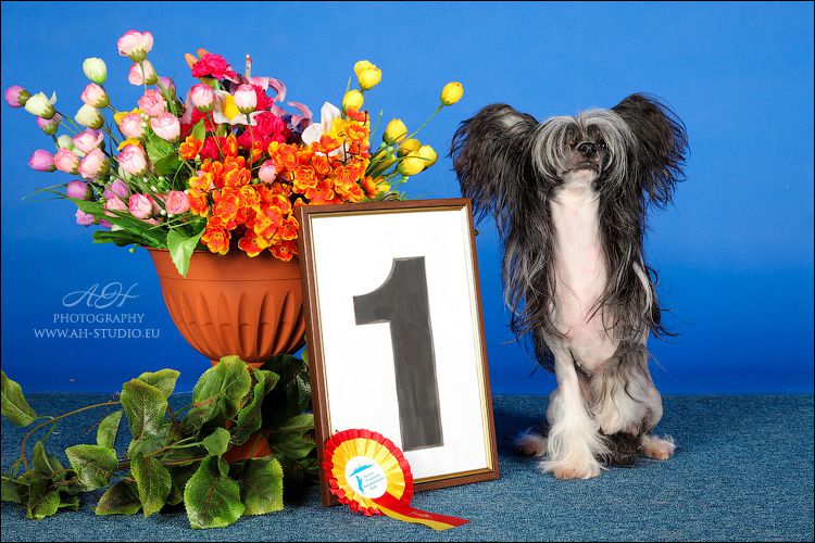 Angel O' Check Naomi Kembel