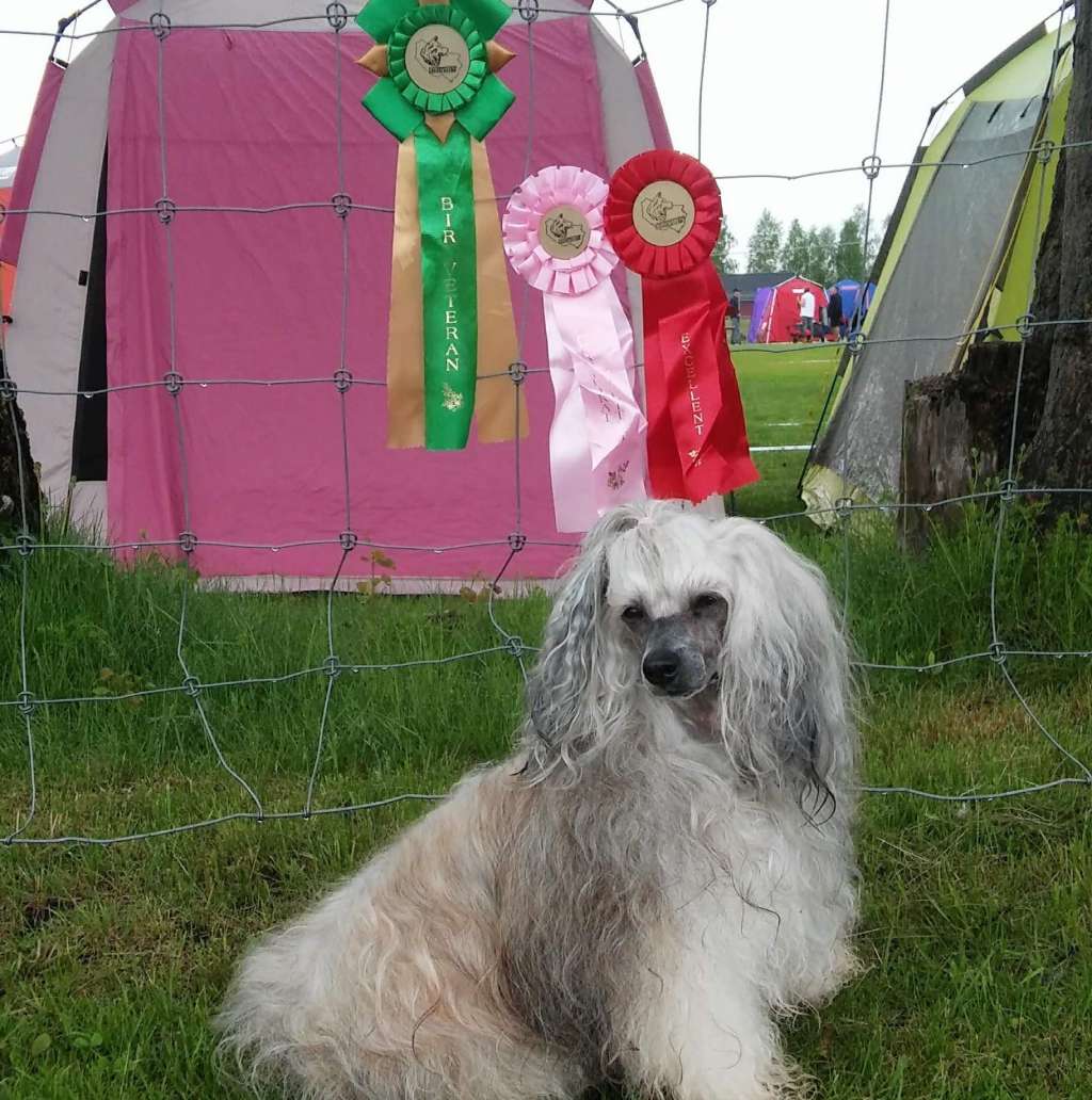 Kyokushin's Cape Island