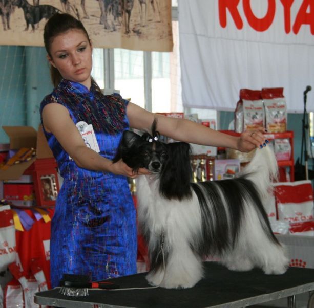 Polyarnaya Zvezda Vostoka