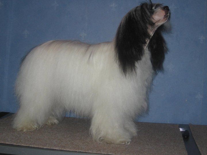 Secret Line's My Only Sunshine