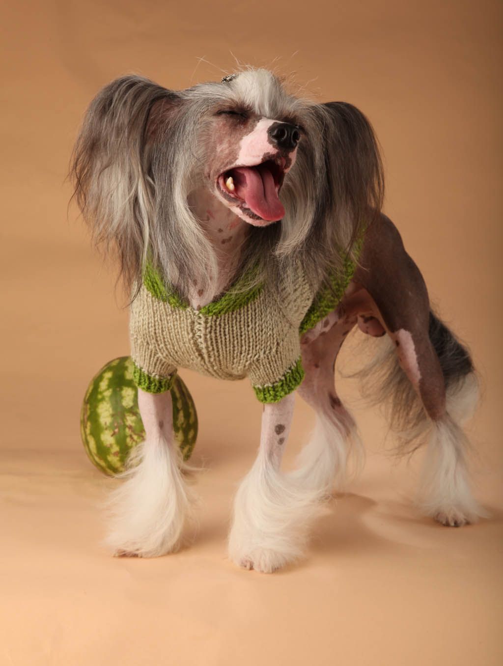 Rovanni Dgokattolo King Of The Ring