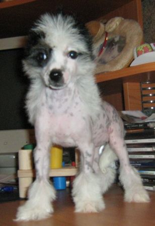 Eyra Jasno Solnyshko