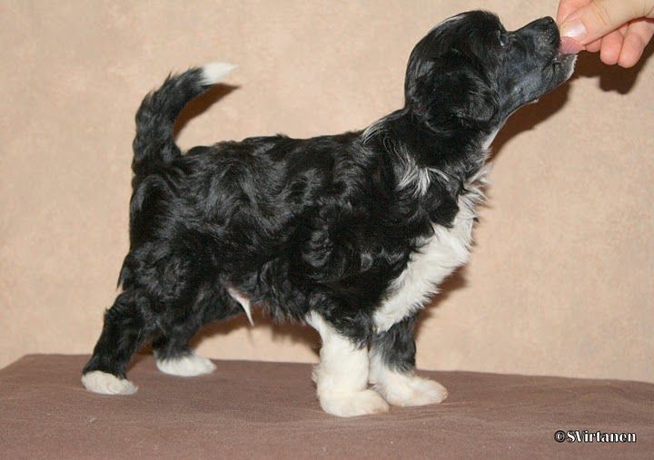 Chattanooga's Man On The Moon