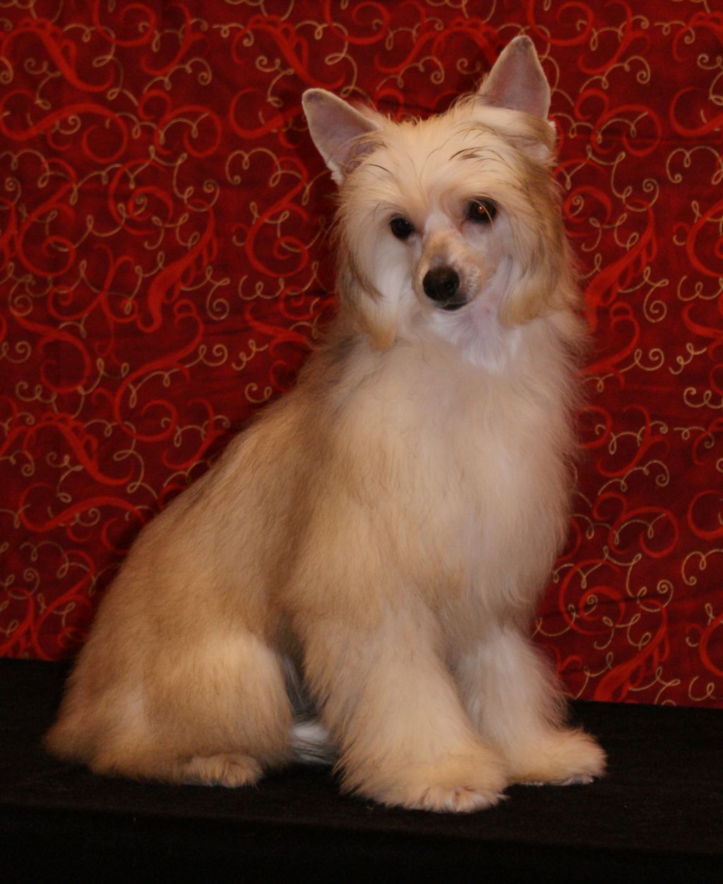 Whispering Lane When Irish Eyes Are Smiling