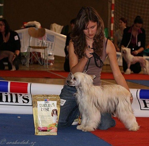 Barbbieta Milfra-Moravia