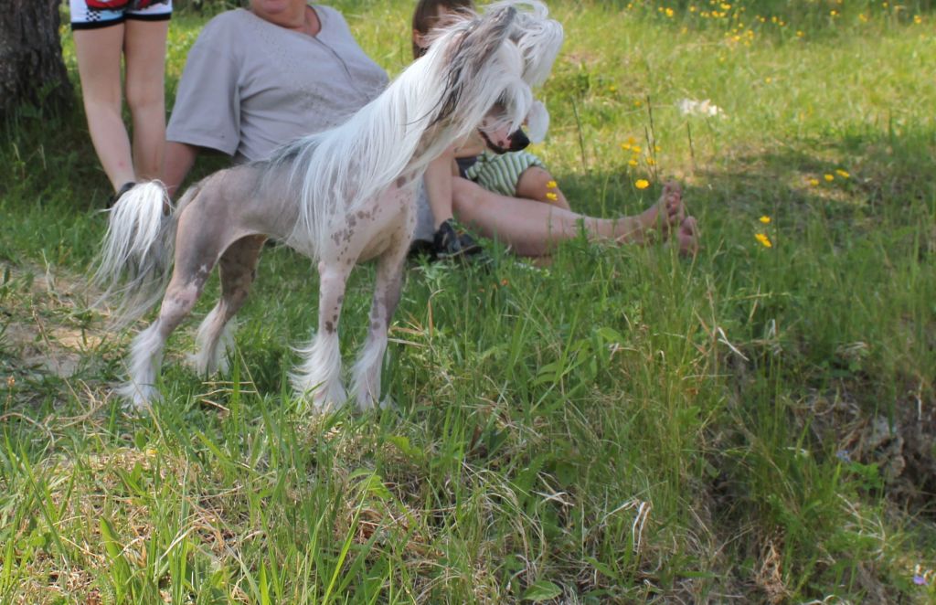 Angel O' Check Ledi Genrietta