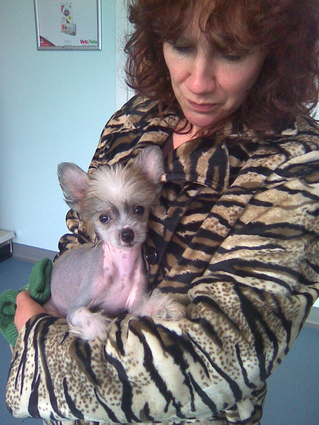 Bordercreek Mighty Fine