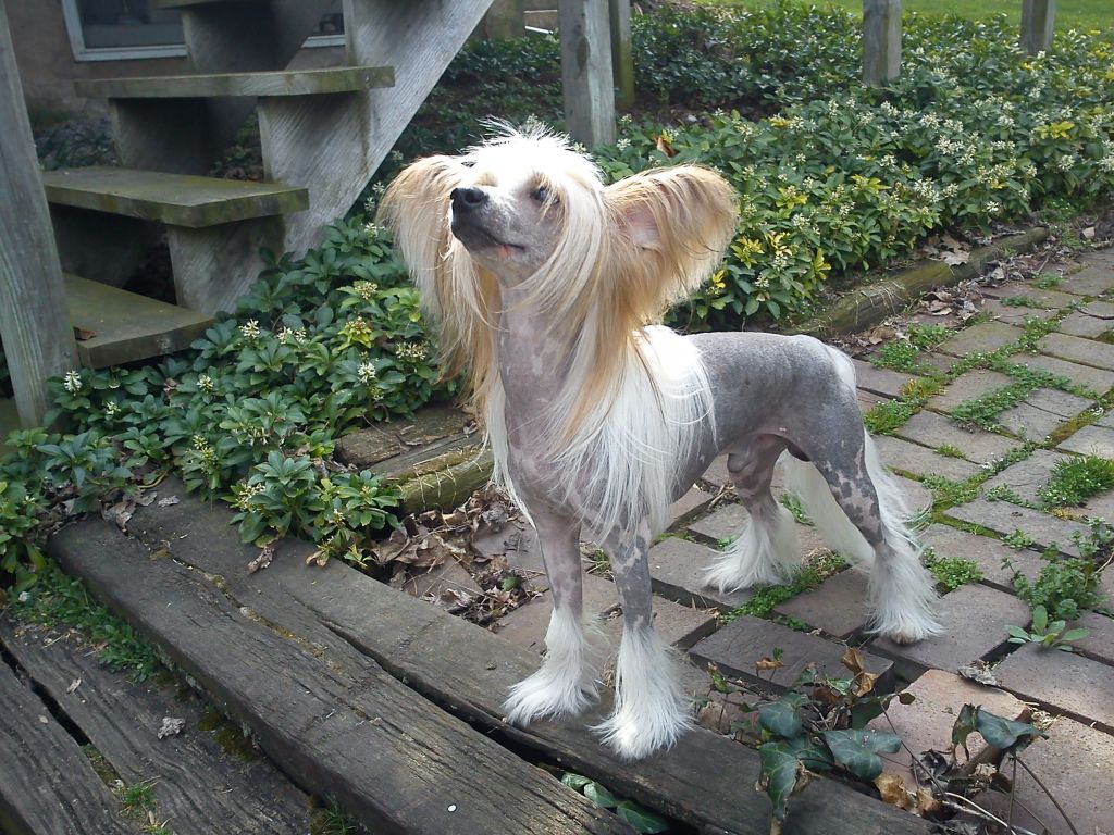 Faetura Can You Dig It?