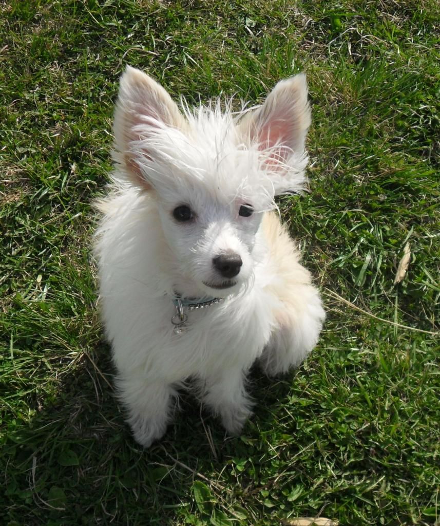 Nyu Art Tserera - Boginya Plodorodiya